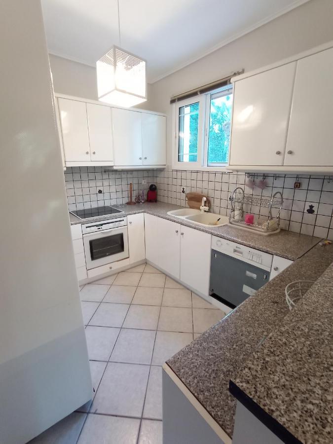 Galini apartment near sea, port&airport Artemi Extérieur photo